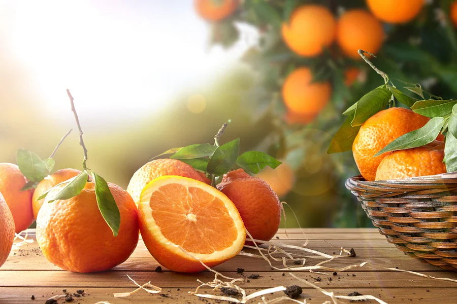 The Sweet Orange – Nature’s Gift of Health and Refreshment