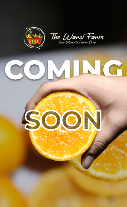 Karachi’s Favorite Winter Fruit: Why Everyone Loves The Warsi Farm Oranges