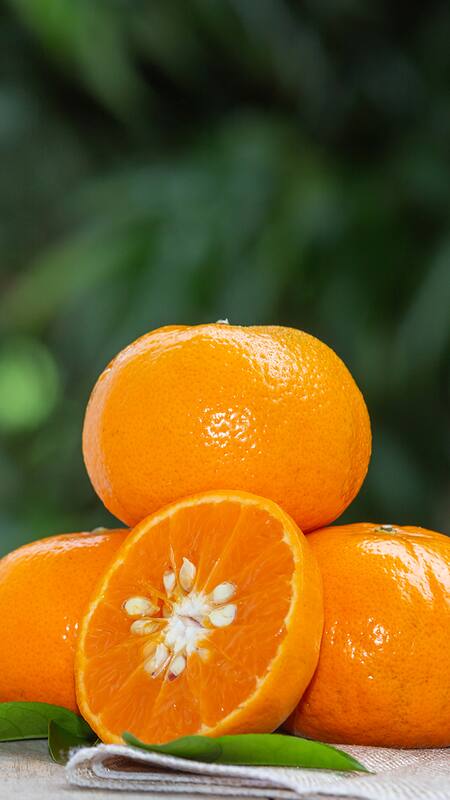 Why Karachi Can’t Stop Talking About Oranges This Winter