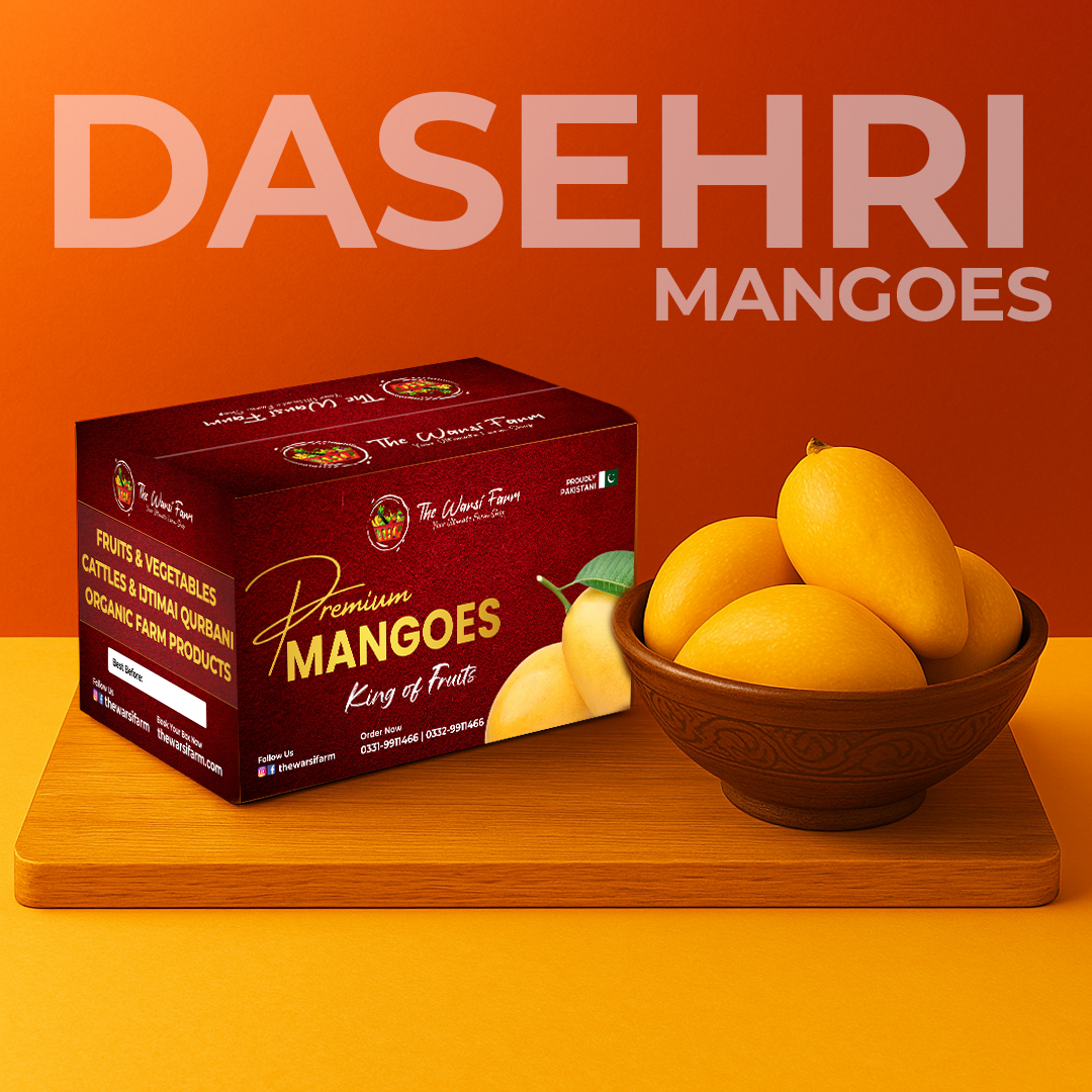 PREMIUM DASEHRI MANGOES