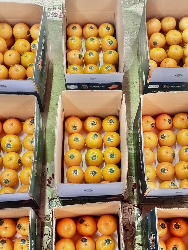 Orange - Kinnow (Premium Export Quality)