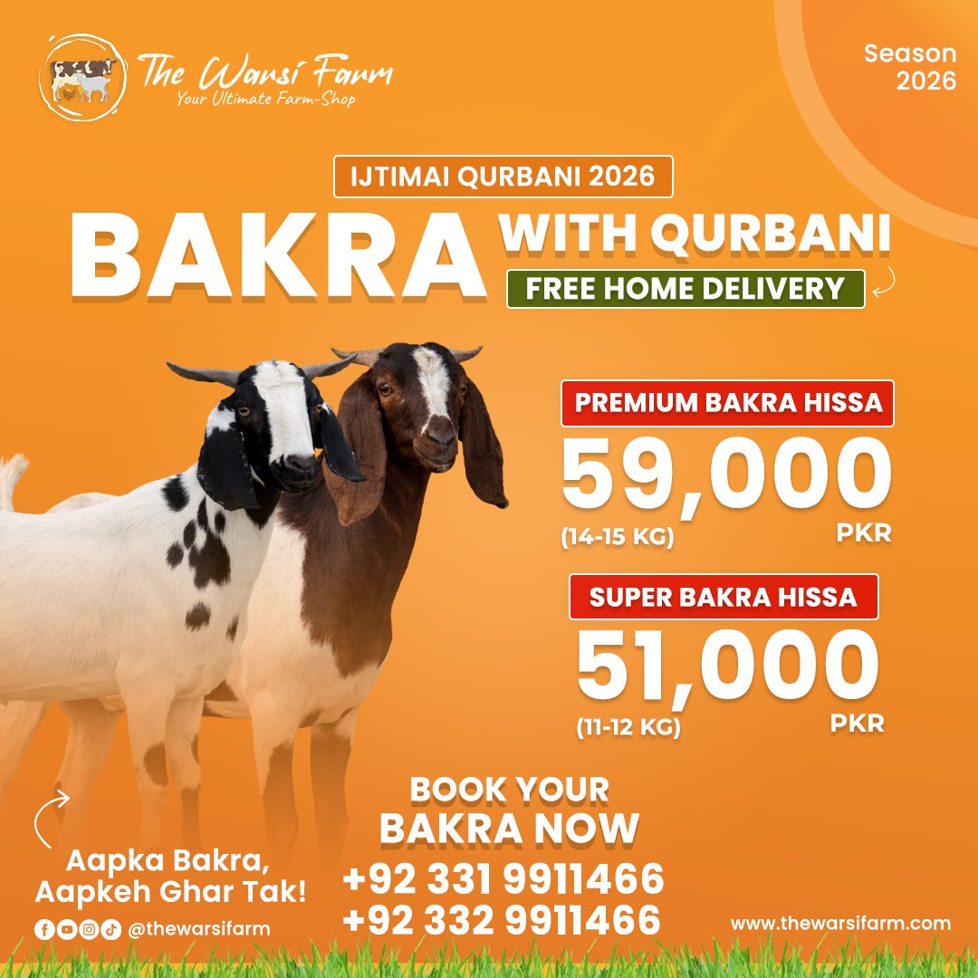 Goat Qurbani 2026 (Hissa - Bakra) | FREE HOME DELIVERY