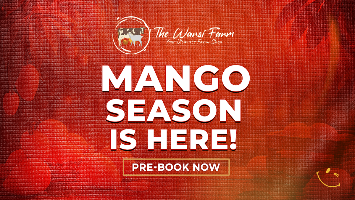 The 7 Classifications of Mangoes: A Comprehensive Guide – The Warsi Farm